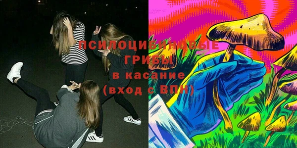 мдпв Бикин