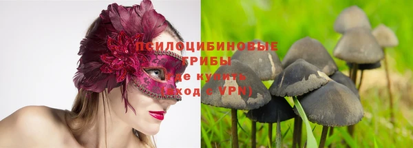 прущие крисы Абдулино