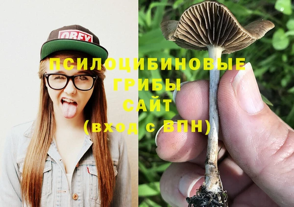 прущие крисы Абдулино