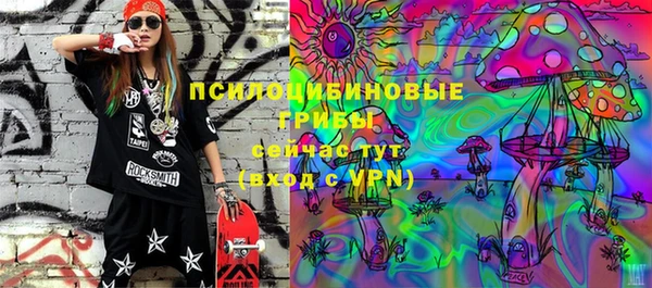 крисы Пестово